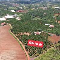 Ra nhanh lô đất 131m2 thổ cư tại Nam Hà, Lâm Đồng