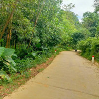 Bán Đất Rừng Sản Xuất Tại Lương Sơn, Hòa Bình - Tổng Diện Tích 28.759M2, Giá Bán 1 Tỷ 600 Triệu