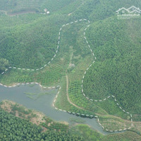 Đầu Tư Nhỏ, Sinh Lời To Với Mảnh Đất 1.2Ha View Hồ Thum Đẹp Nhất Lục Ngạn, Bắc Giang