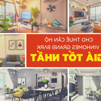 Cho Thuê Căn Hộ Vinhomes Full Đẩy Đủ Chỉ Kéo Vali Vào Ở Giá Thơm Phức