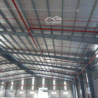 Cho Thuê Kho Mới 12.500M2 (Xd: 7.700M2) Kcn Phú An Thạnh, Bến Lức. Pccc Tự Động, Trạm Hạ Thế