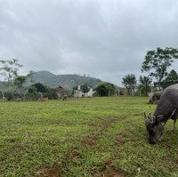 Lô Đấtdiện Tích2648 Mét Vuông Có 1403 Mét Thổ Cư Bám Sông Tại Cao Phong - Hoà Bình