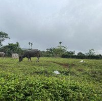 Lô Đấtdiện Tích2648 Mét Vuông Có 1403 Mét Thổ Cư Bám Sông Tại Cao Phong - Hoà Bình