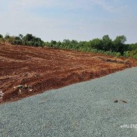 Đất Ngộp Ngay Trung Tâm Chính Chủ 1000M2 Giá Chỉ 390 Triệu Sang Tên Công Chứng Ngay