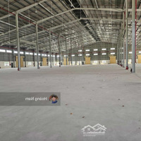 Cho Thuê Xưởng 10.000M2 Kcn Đức Hòa Long An. Mới 100% . Tháng 11 Bàn Giao