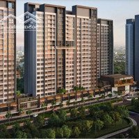 Bán Căn Hộ Chung Cư Cao Cấp 1 Phòng Ngủchính Chủ Bàn Giao Hoàn Thiện T10.2024 - Celesta Rise