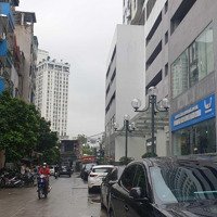 Bán Gấp Căn Shophouse Tòa Nhà Xuân Mai, Thanh Bình, Mỗ Lao, Hà Đông