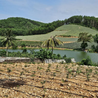 Đất View Hồ Bến Quân - Hà Long - Hà Trung - Thanh Hóa