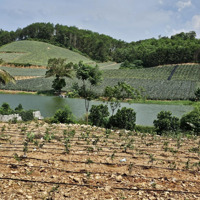 Đất View Hồ Bến Quân - Hà Long - Hà Trung - Thanh Hóa