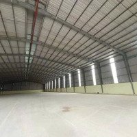 Cho Thuê Kho 1200M2 - 95 Triệu An Phú, Thuận An. Pccc Tự Động