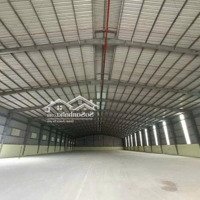 Cho Thuê Kho 1200M2 - 95 Triệu An Phú, Thuận An. Pccc Tự Động