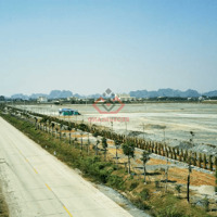 Chuyển nhượng 2,5ha đất Cụm công nghiệp Văn Phong, Ninh Bình
