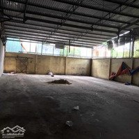 Cho Thuê Kho Bãi Tân Thới Nhất, Trường Chinh, Quận 12, Dt: 1.300M2, Giá 60 Triệu/Th