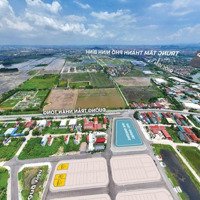 Chuyển Nhượng Lô Đất Đấu Giá Rẻ Nhất Ninh Phong, Tp Ninh Bình