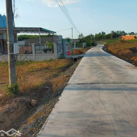 Chính Chủ Gửi Bán Đấtdiện Tích10X100M,Mặt Tiềnbê Tông Xuân Thành