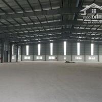 Cho thuê xưởng 6000m2 KCN Long Thành, Huyện Long Thành, Đồng Nai