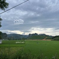 Bán Đất Lương Sơn Hoà Bình Vỉew Cánh Đồng Tuyệt Cảnh Sắc, Giá Chỉ 1,12 Tỷ