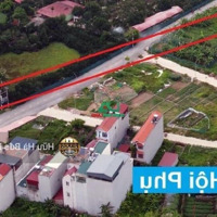 Siêu Phẩm Đấu Tư , Sát Vin Cổ Loa , Tiềm Năng X2 X3