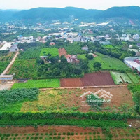 Đất Thổ Cư Xã Mê Linh. Cách Đt 725 Chỉ 100M. View Đồi Thông, Suối Cam Ly. Shr-Sẵn Thổ Cư- Giá Bán 1.1 Tỷ