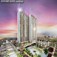 Cập Nhất Bảng Hàng Mới Nhất Shophouse, Liền Kề Hoàng Thành Pearl . Liên Hệ: 0904562836