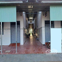 Dãy Rọ Đang Cho Đang Cho Thuê, Đường Lý Thái Tổ, Phú Hội, Nhơn Trạch, 250M2, 980 Triệu, Shr.