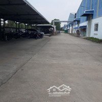 Cho Thuê Kho Xưởng Kcn Đức Hòa,Long An Khuôn Viên :22.000M2, Xưởng :12.000M2, Văn Phòng :800M2