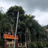 Lô đất chính chủ ngay chợ Tân Long Phú Giáo cần bán gấp