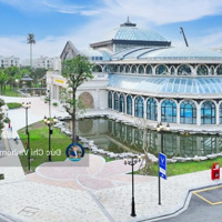 Quỹ Căn Đảo Dừa, Hải Âu, Cọ Xanh Chiết Khấu 25% + Tặng Vàng Ở Vinhome Oceanpark2