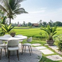 500M2 Thổ Xây Nhà Vườn, Biệt Thự, Kho, Xưởng Giá Rẻ, Cách Ql50 600M, 2 Sổ Riêng, Có Bán Lẻ