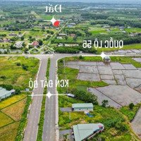 Bán Đất Đối Diện Cổng Chính Kcn Đất Đỏ, 500M2 (10X50), Có Sẵn 100M2 Thổ Cư, Đường Nhựa, Hạ Tầng Tốt