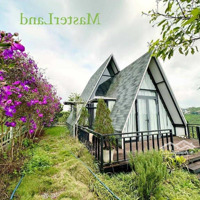 Mình Cần Bán Căn Homestay Mini Tại Bảo Lâm Gần Homestay Olala Hồ Cánh Bướm + Khu Dân Cư Đông Đúc