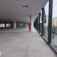 Cho Thuê Building Lô Góc Mặt Phố Trần Thái Tông-Cầu Giấy - 350M2 - 8 Nổi - 1 Hầm - Alo 0878.170.458