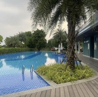 Cập Nhật Mới Nhất Nhà Phố, Biệt Thự Aqua City Giá Chỉ 6.6 Tỷ (8X20M, 1 Trệt 2 Lầu), Nhận Nhà Ở Ngay