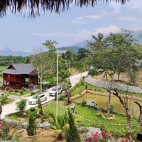 Bán Homestay Nghỉ Dưỡng Tại Xã Tiến Xuân, Thạch Thất 7600M2 View Cao Đẹp, Sẵn Khuôn Viên