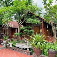 Bán Homestay Nghỉ Dưỡng Tại Xã Tiến Xuân, Thạch Thất 7600M2 View Cao Đẹp, Sẵn Khuôn Viên