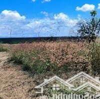 Chính Chủ Cần Bán Nhanh Mảnh Đất View Điện Gió 2 Mặt Tiền Diên Phú - Pleiku 600M, Gia Lai