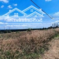 Chính Chủ Cần Bán Nhanh Mảnh Đất View Điện Gió 2 Mặt Tiền Diên Phú - Pleiku 600M, Gia Lai