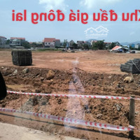 Bán Đất F0 Cho Nhà Đầu Tư Đc : Đông Lai Quang Tiến Sóc Sơnmặt Tiền= Hậu 7.32Diện Tích97 Và 96.5M Fun Thổ Cư