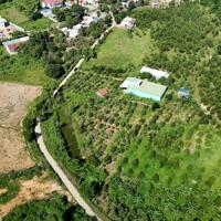 bán 1,1 hecta có sẵn 1.000m thổ cư nhà yến, vườn Bưởi, Sầu Riêng huyện Khánh Vĩnh LH 0788.558.552