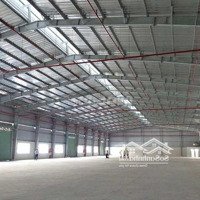 Nhà Xưởng Đang Trống Cần Cho Thuê 3100M2 Ngay Kcn Vsip Cẩm Giàng Hải Dương Pccc Tiêu Chuẩn