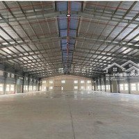 Nhà Xưởng Đang Trống Cần Cho Thuê 3100M2 Ngay Kcn Vsip Cẩm Giàng Hải Dương Pccc Tiêu Chuẩn