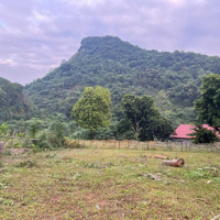 Chính Chủ F0 Gửi Bán 1400M2 View Cao Thoáng, Đẹp, Rẻ Tại Xã Cư Yên, Huyện Lương Sơn, Hòa Bình