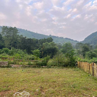 Chính Chủ F0 Gửi Bán 1400M2 View Cao Thoáng, Đẹp, Rẻ Tại Xã Cư Yên, Huyện Lương Sơn, Hòa Bình