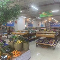 Cần Bán Gấp Shophouse Khối Đế Dòng Tiền, Đường Phạm Văn Đồng, 540M2, Đang Cho Thuê 180 Tr/M2.