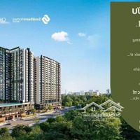 Chính Thức Ra Mắt Dự Án Sycamore Khu Cao Tầng Orchard Hill Capitaland Giá Chỉ 48 Triệu/M2 Thông Thuỷ