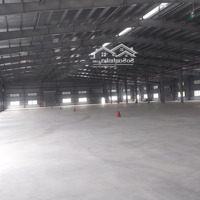 Cho Thuê 14000M2 Xưởng Mới 100% Tại Khu Công Nghiệp Deepc.hải Phòng.miễn Thuế 5 Năm Cho Khách Hàng