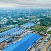 Đất Tiềm Năng Nằm Cạnh Kcn Cầu Tràmdiện Tích102M2, Thích Hợp Kinh Doanh, Xây Ở Hoặc Đầu Tư, Shr