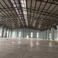 Cho Thuê 3600M2 Khu Công Nghiệp Long Hậu, Long An