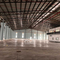 Cho Thuê 3600M2 Khu Công Nghiệp Long Hậu, Long An