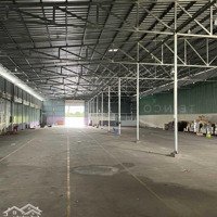 Kho Xưởng 1.000M2 Có Pccc Và Điện 3 Pha, 2 Mặt Tiền Đường Mai Chí Thọ